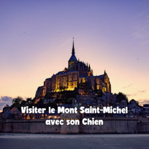 Couverture article Mont Saint Michel_blog PlayDogs