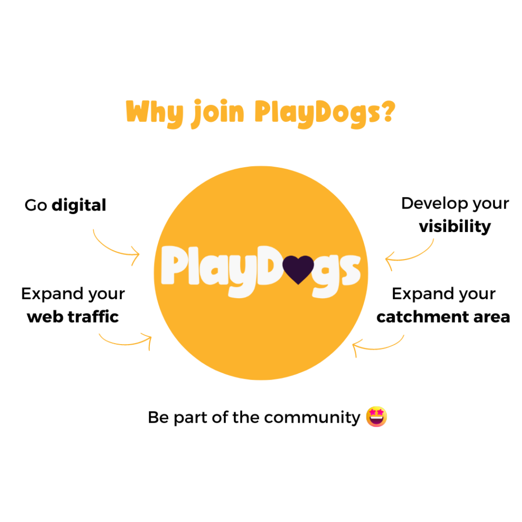 Why Join PlayDogs and reasons