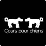 Cours pour chiens logo