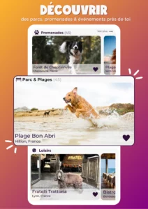 Découvrir grâce à PlayDogs