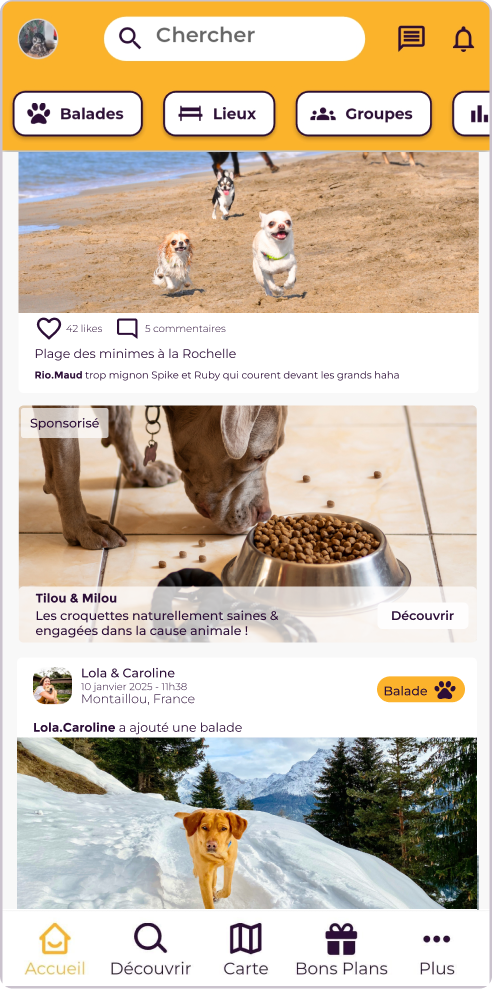 Publicité sur la page d'accueil PlayDogs