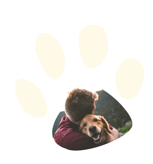 Inscrivez-vous à la newsletter de Playdogs
