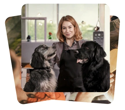 PlayDogs, une application pour les professionnels canins